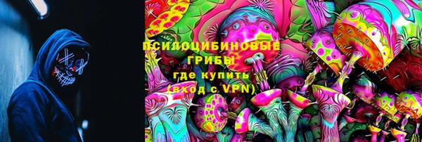 PSILOCYBIN Алзамай