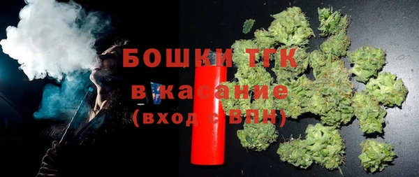 PSILOCYBIN Алзамай