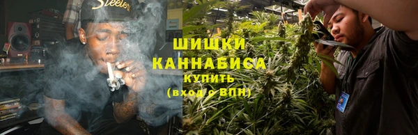 PSILOCYBIN Алзамай