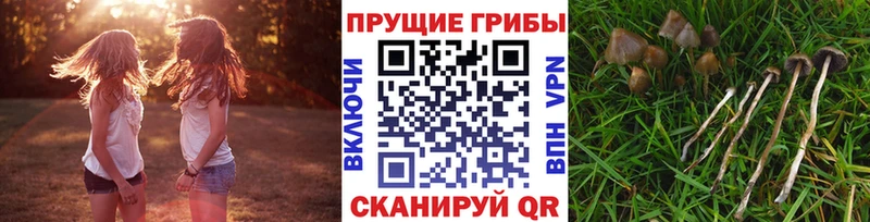 Галлюциногенные грибы MAGIC MUSHROOMS  Ачинск 