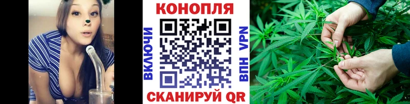 Бошки Шишки марихуана  Ачинск 